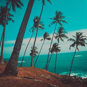 SriLanka-YogaKampi-1