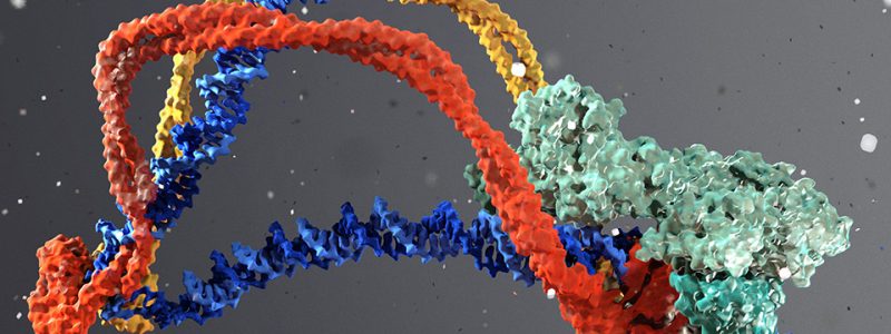 VBCF_Feature_Epigenetics